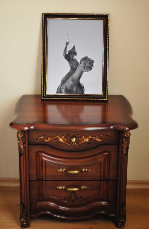 Hotel Sirdaria Kyzylorda Bagian luar foto